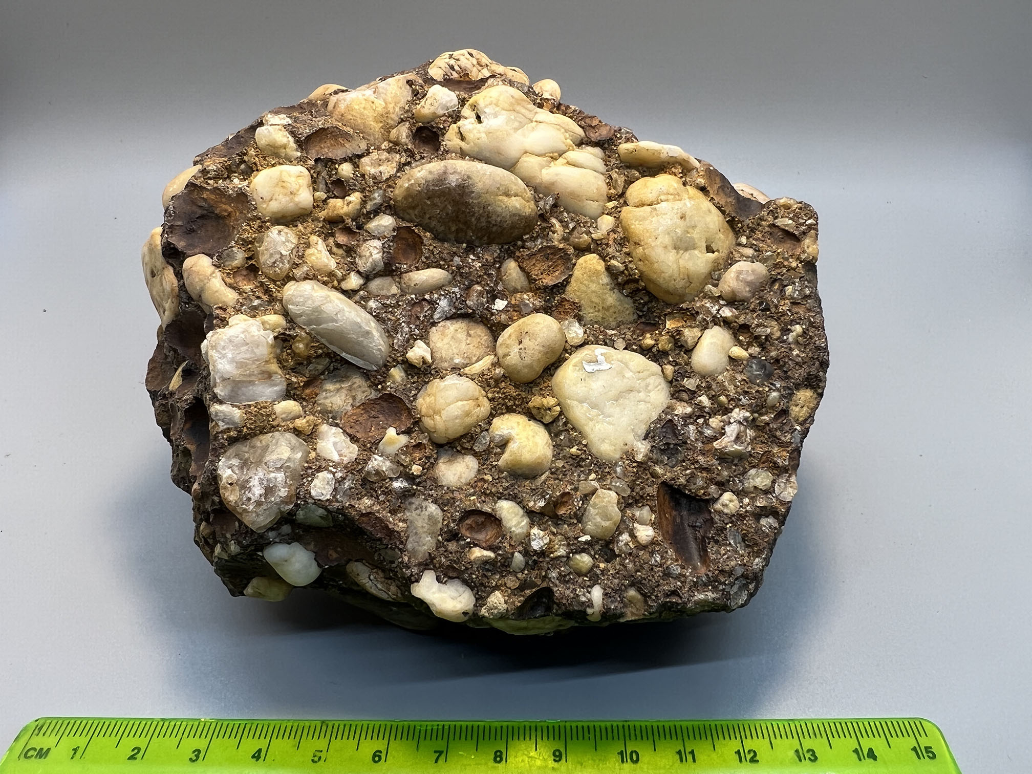 brown conglomerate rock with white pebbles